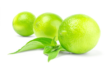 Three citrus limes in row with leaves on a white background