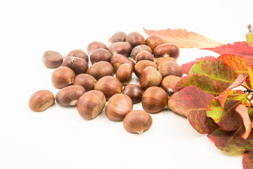castagne su fondale isolato bianco e foglie rosse 