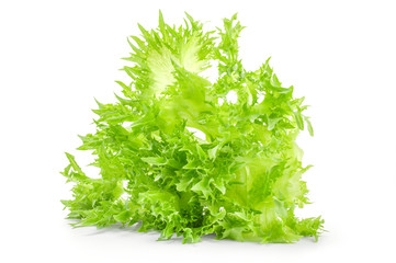 Fresh lettuce over white background