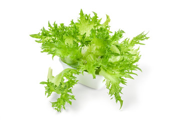 Fresh lettuce in bowl isolated on white