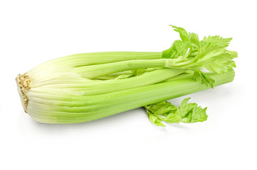 Celery isolated on white background