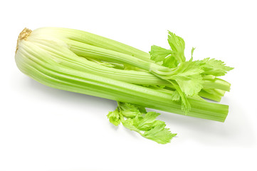 Bunch of celery sticks isolated on the white background