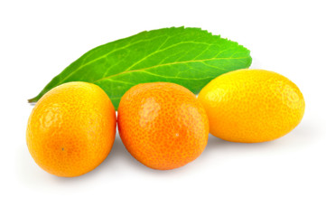 Kumquat citrus on a white background cutout
