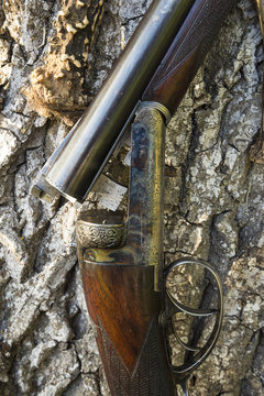Hunting riffle with cartridges and deer antlers outdoors on tree background
