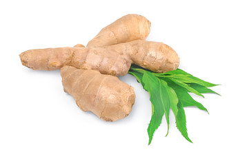 Ginger root isolated on white background