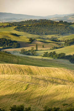 typical Tuscan landscape with rolling hills in the morning