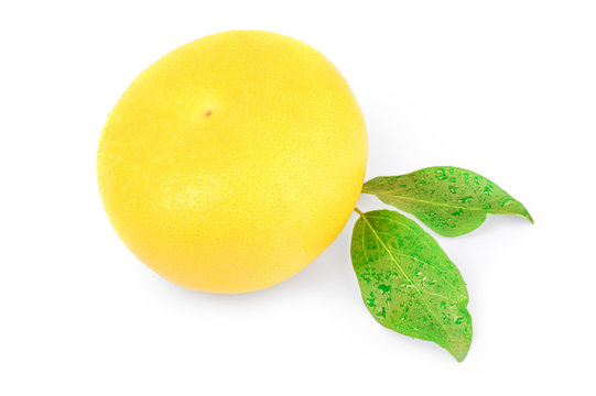 Citrus switty with green leaves on white background