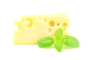 Piece of cheese with basil leaves