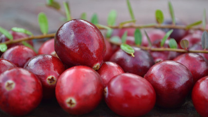 Close up of fresh red ripe cranberries with green leaves. Ingredient for christmas baking.