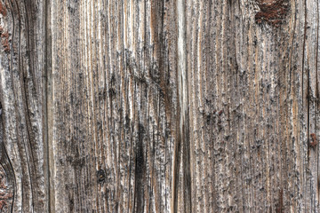 texture of wooden boards, light wood surface