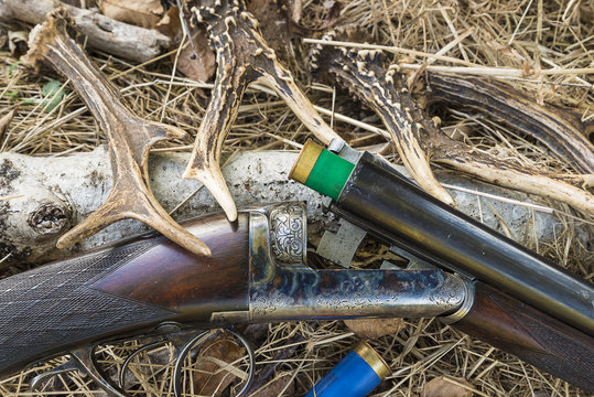 Hunting riffle with cartridges and deer antlers outdoors