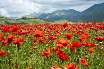 Castelluccio of Norcia before the earthquake in Italy