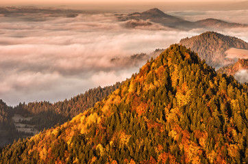 Obrazy na Szkle  Poranne morze mgły widziane z Pienin, jesień, Polska