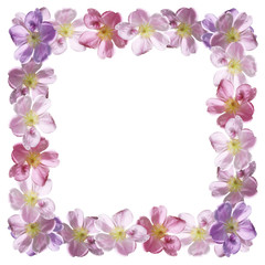 Fototapeta premium Beautiful floral pattern of pink dogrose 