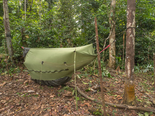 Camp in the jungle