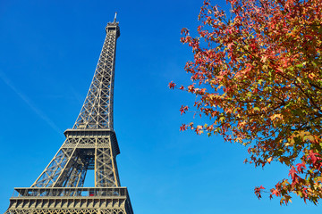 Eiffel tower with bright autumn leaves over the blue sky
