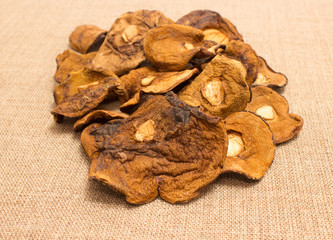 Dried mushrooms on canvas