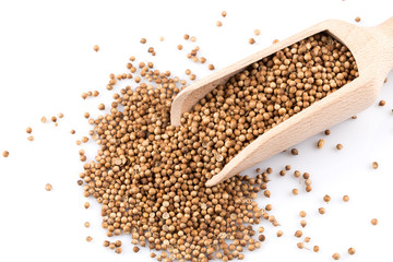 Coriander seeds in wooden scoop