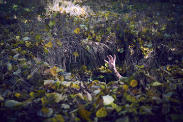 Spooky hand sticking out from abandoned well. Color effects added