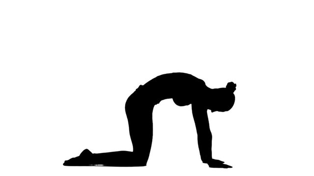 Woman practicing in a yoga. White. Slow motion. Silhouette.