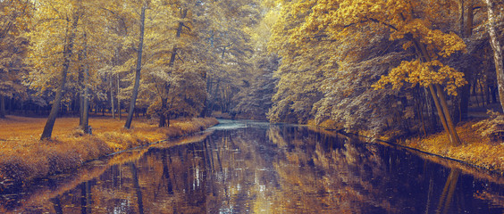 autumn forest with orange leaves and river