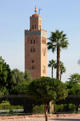 Fototapeta na wymiar Africa - Morocco - Marrakesh