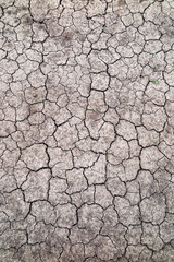 Cracked fertile soil in the early spring garden