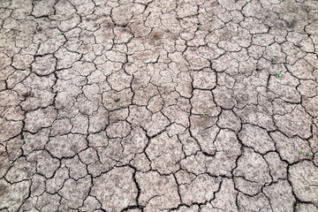 Cracked fertile soil in the early spring garden