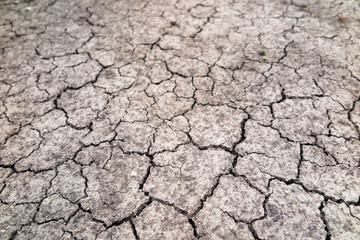 Cracked fertile soil in the early spring garden