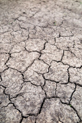 Cracked fertile soil in the early spring garden