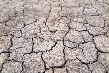 Cracked fertile soil in the early spring garden