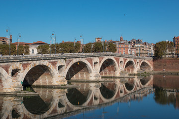 Fototapeta premium Toulouse : Pont Neuf et Prairie des Filtres