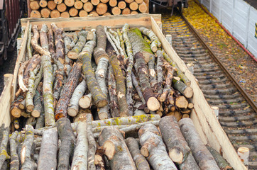 Environment, nature and deforestation forest - felling of trees. The concept of a global problem. Freight train loaded with pine trunks.