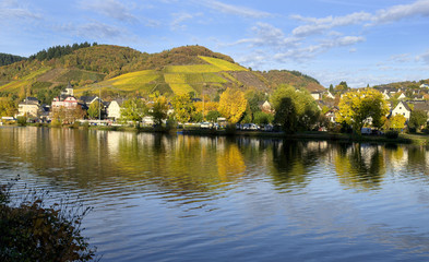 Fototapeta premium Herbstliche Mosel bei Bullay