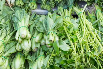 Fototapeta premium Green vegetables