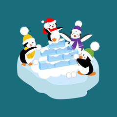 Penguins playing snowball