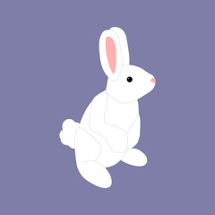 White rabbit illustration