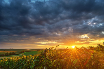Sunset over vineyard with dramatic clouds