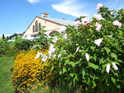 Villla Bilder Durchsuchen 34 Archivfotos, und Videos