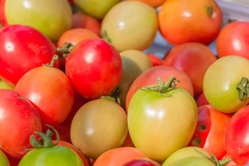 Group of fresh tomatoes
