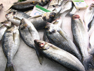 Fishes in market