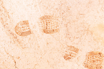 Imprint of the shoe on mud with copy space