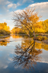Boise River with fall colored trees