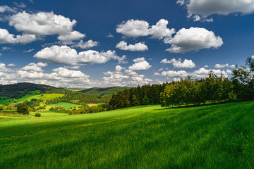 Spring summer background - grass field meadow scenery lanscape