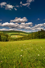Spring summer background - grass field meadow scenery lanscape