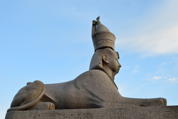 Stone Sphinx on the University embankment