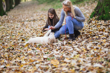 Mother and daughter playing with their labrador retriever puppy in park.