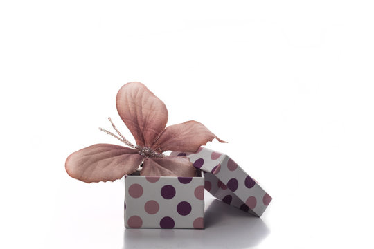 Caja de lunares de regalo con mariposa