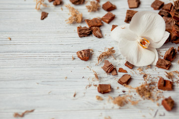 Orchid(Orchidaceae) phalaenopsisplants, soil(root) and moss on wooden background. Big white flowers orchid.  Growing  houseplant. Flower background.