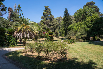 Obraz premium English Garden in the park of Caserta Royal Palace
